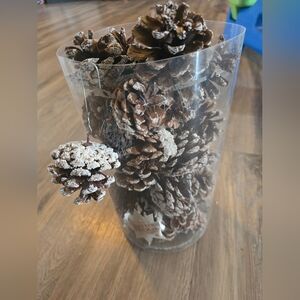 Pinecone Ornament And Door Wreath
